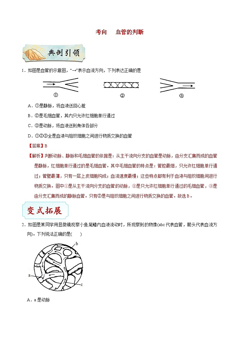 最新中考生物考点一遍过（一轮讲义） 考点23  血管03