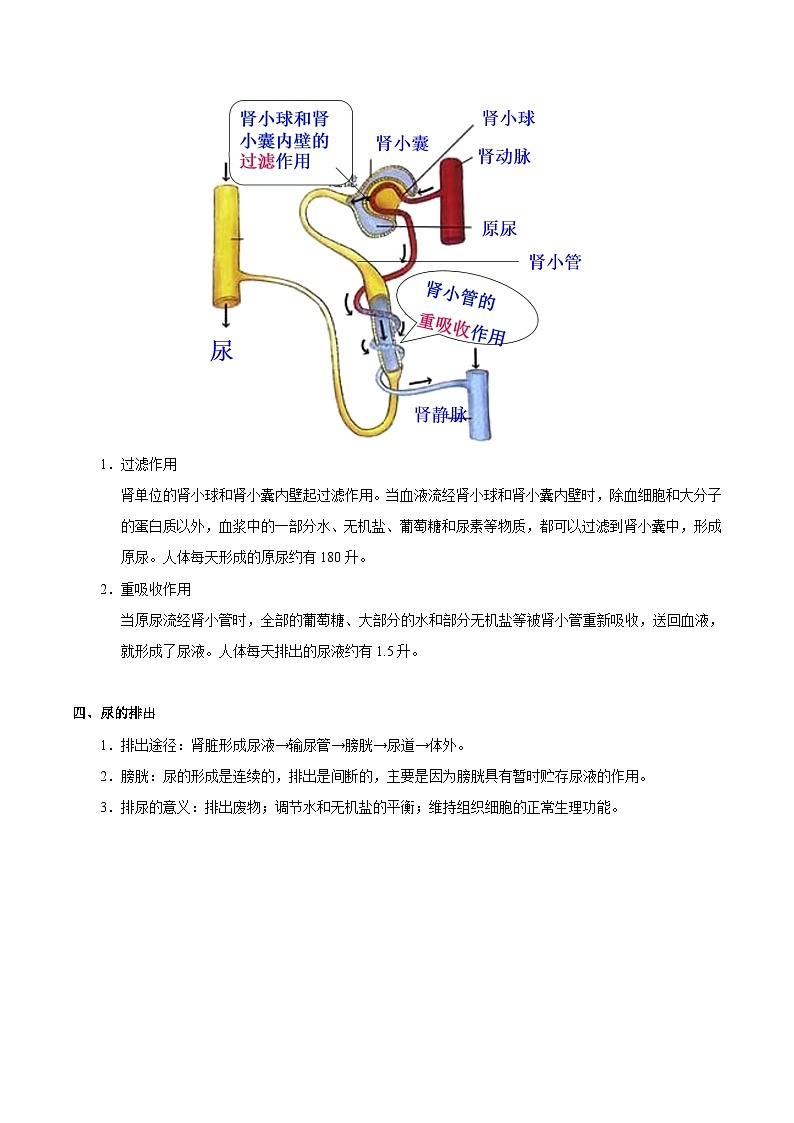 最新中考生物考点一遍过（一轮讲义） 考点25  人体内废物的排出第3页