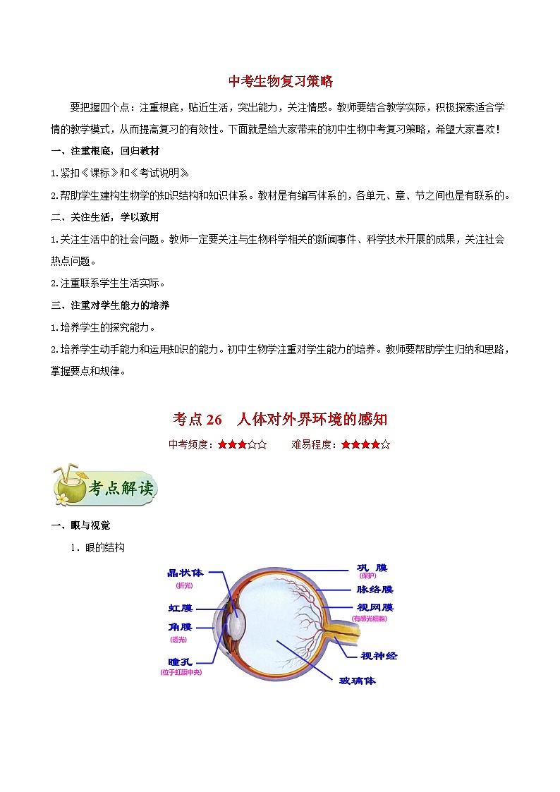 最新中考生物考点一遍过（一轮讲义） 考点26  人体对外界环境的感知第1页