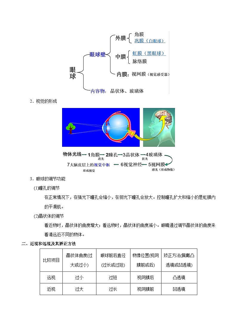 最新中考生物考点一遍过（一轮讲义） 考点26  人体对外界环境的感知第2页