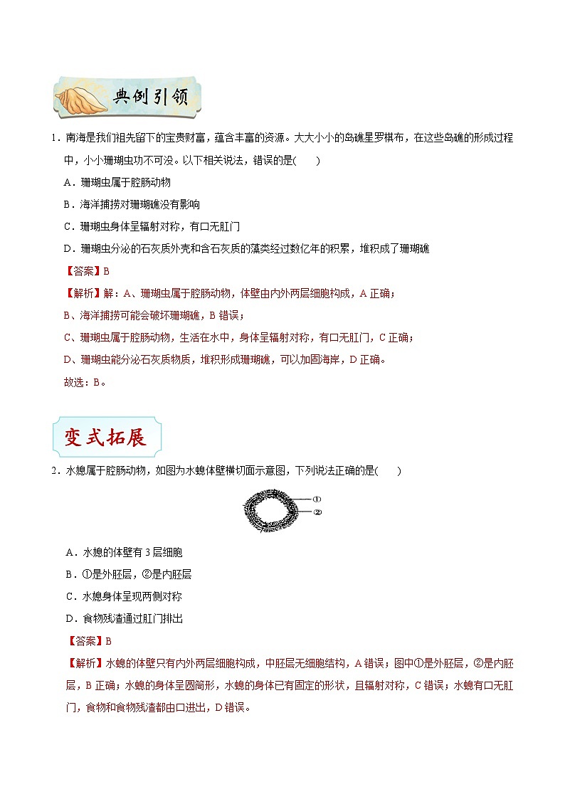 最新中考生物考点一遍过（一轮讲义） 考点30  无脊椎动物03