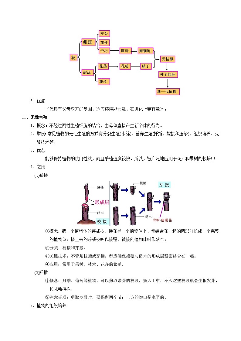 最新中考生物考点一遍过（一轮讲义） 考点37  植物的生殖第2页