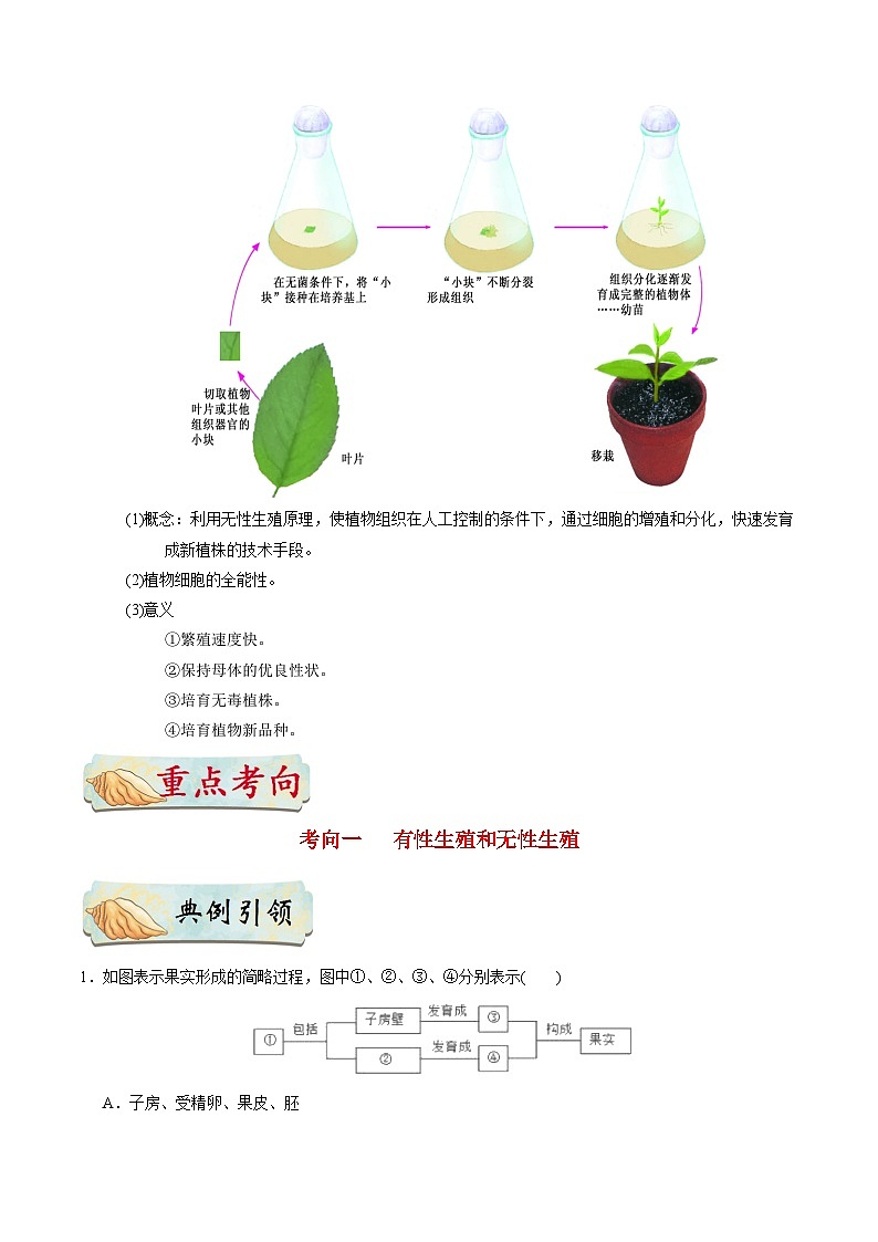 最新中考生物考点一遍过（一轮讲义） 考点37  植物的生殖第3页