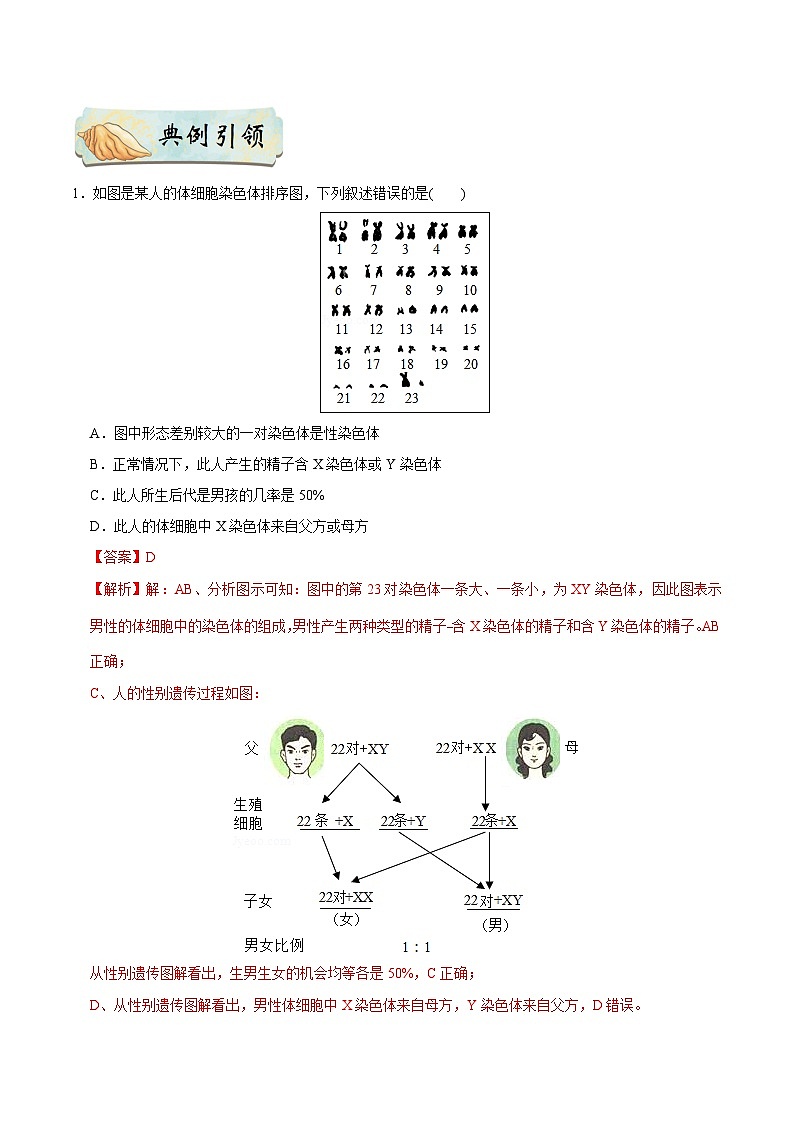 最新中考生物考点一遍过（一轮讲义） 考点42  人的性别遗传第3页