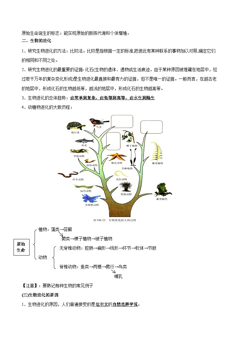 最新中考生物考点一遍过（一轮讲义） 考点44  生命起源和生物进化第3页