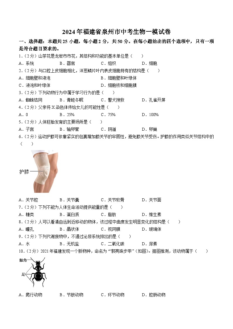 2024年福建省泉州市中考生物一模试卷01