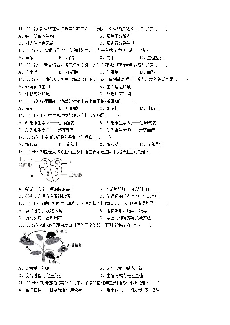 2024年福建省泉州市中考生物一模试卷02