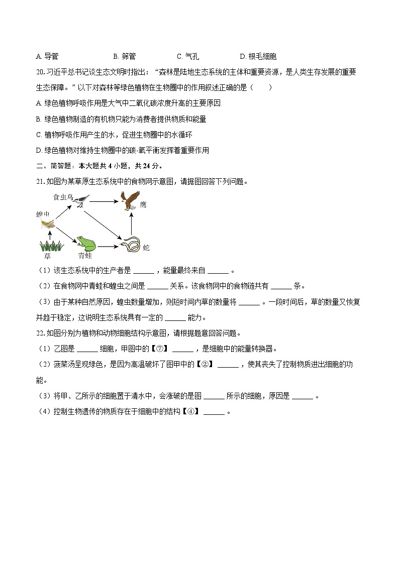 2023-2024学年河南省南阳市南召县七年级（下）开学生物学试卷（含解析）第3页