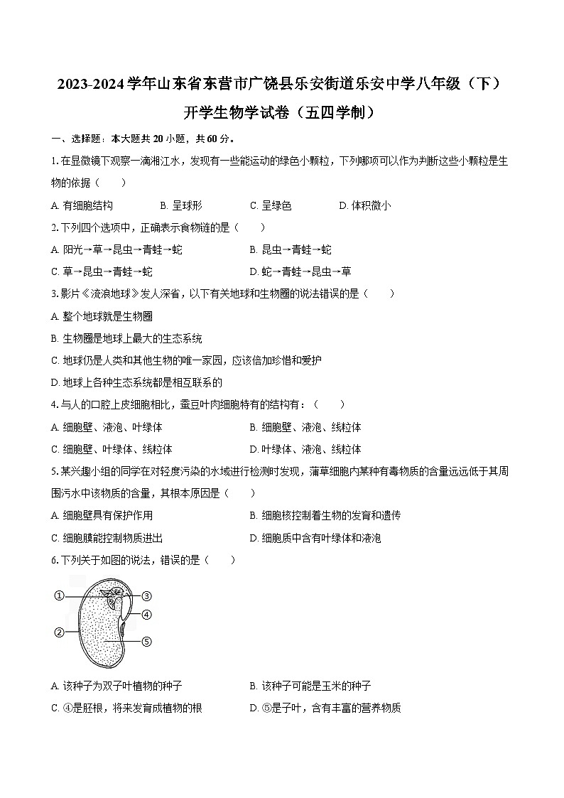 2023-2024学年山东省东营市广饶县乐安街道乐安中学八年级（下）开学生物学试卷（五四学制）（含解析）01