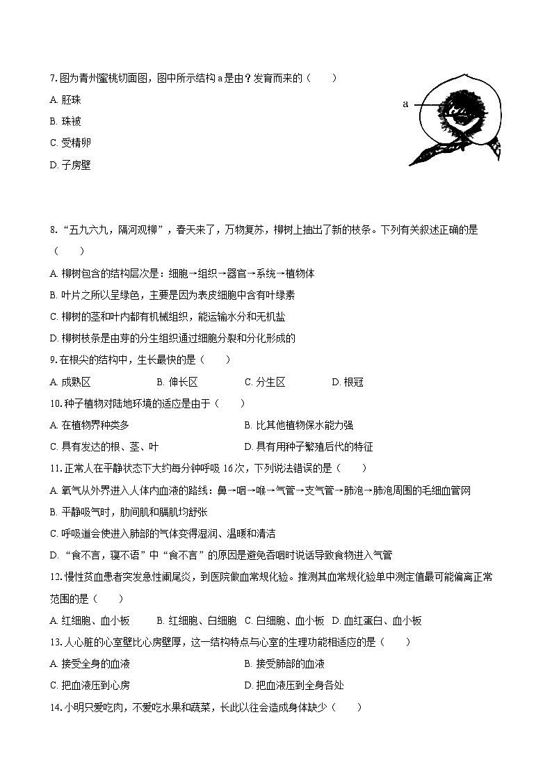 2023-2024学年山东省东营市广饶县乐安街道乐安中学八年级（下）开学生物学试卷（五四学制）（含解析）02