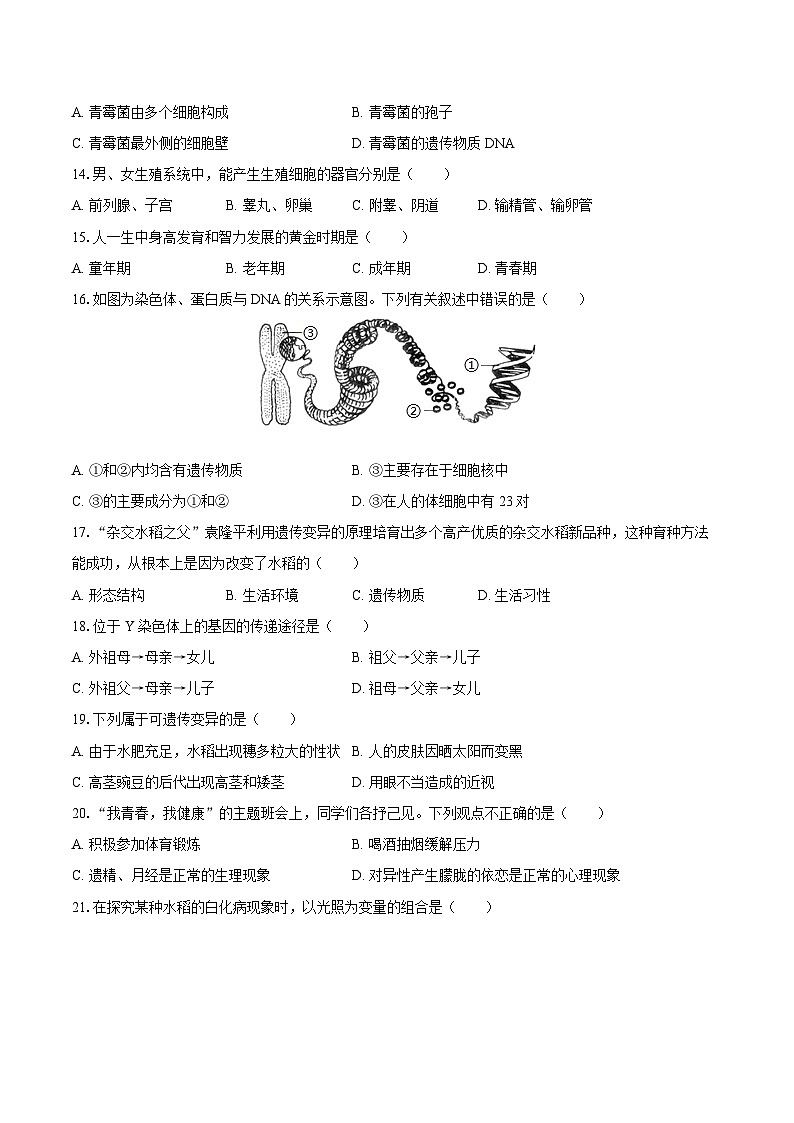 2024年湖南省株洲市茶陵县中考生物模拟试卷（含解析）02