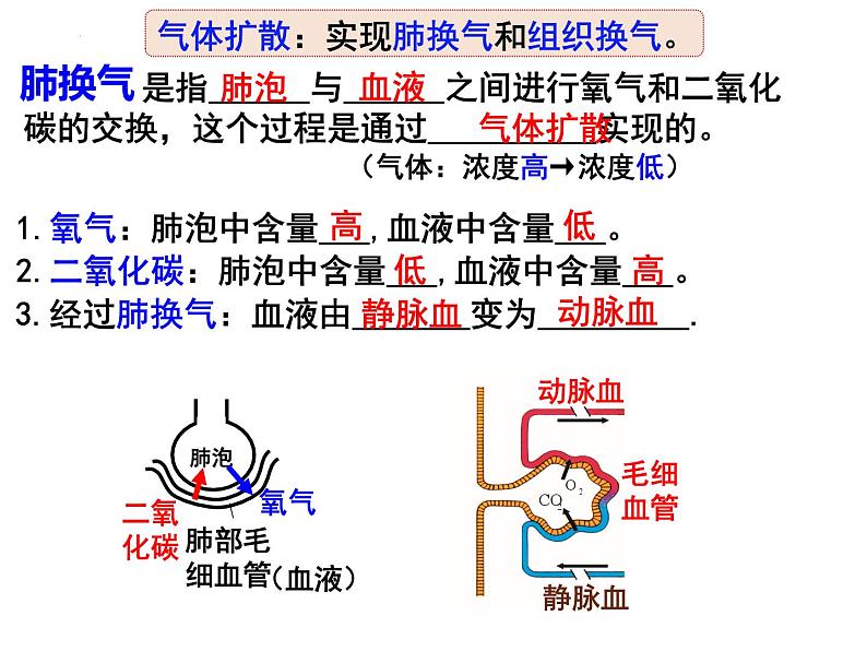 10.2.3++人体细胞获得氧气的过程--第3课时同步课件2023-2024+学年北师大版生物七年级下册第4页