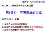 10.2.1++人体细胞获得氧气的过程--第1课时同步课件2023-2024+学年北师大版生物七年级下册