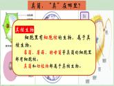 5.4.3真菌课件2023--2024学年人教版生物八年级上册