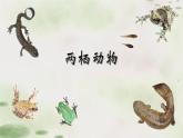 5.1.5两栖动物课件2023--2024学年人教版生物八年级上册