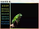 5.1.5两栖动物课件2023--2024学年人教版生物八年级上册