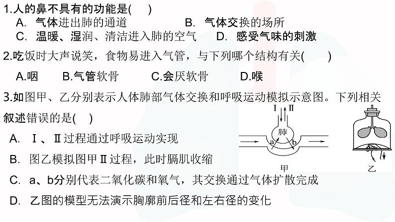 《人体的呼吸 》复习课  课件第3页