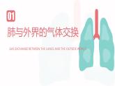 《人体的呼吸 》复习课  课件