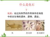 北师大版生物八年级下册 第21章 第2节  《生物的进化》课件2（第1课时）