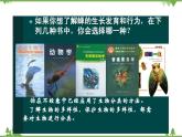 北師大版生物八年級(jí)下冊(cè) 第22章 第1節(jié)  《生物的分類》課件1