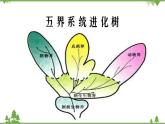 北师大版生物八年级下册 第22章 第2节  《原生生物的主要类群》课件