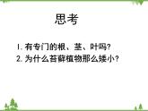 北师大版生物八年级下册 第22章 第3节  《植物的主要类群》课件