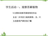 北师大版生物八年级下册 第22章 第3节  《植物的主要类群》课件——-苔藓植物、蕨类植物