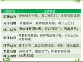 北师大版生物八年级下册 第22章 第4节  《动物的主要类群》课件2（第2课时）