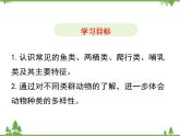 北师大版生物八年级下册 第22章 第4节  《动物的主要类群》课件2（第2课时）