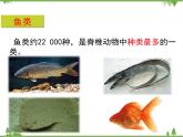 北师大版生物八年级下册 第22章 第4节  《动物的主要类群》课件2（第2课时）