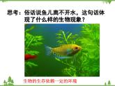 北师大版生物八年级下册 第23章 第1节  《生物的生存依赖一定环境》课件1