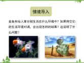 北师大版生物八年级下册 第23章 第1节  《生物的生存依赖一定的环境》课件2