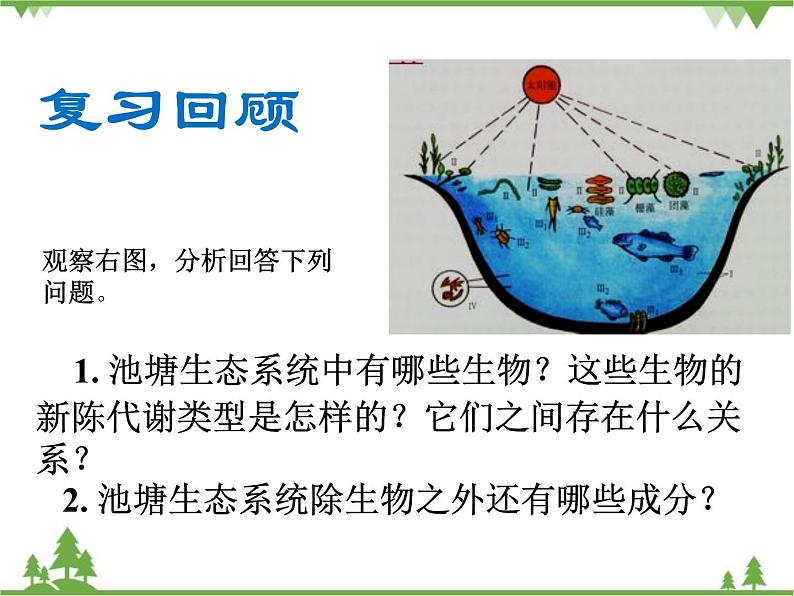 北师大版生物八年级下册 第23章 第3节  《生态系统的结构和功能》课件1第2页