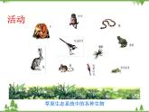 北师大版生物八年级下册 第23章 第3节  《生态系统的结构和功能》课件1