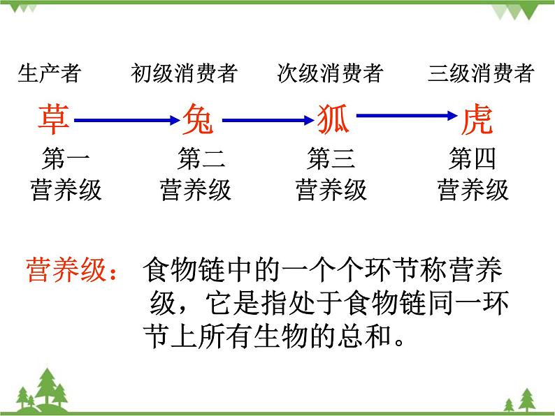 北师大版生物八年级下册 第23章 第3节  《生态系统的结构和功能》课件1第8页