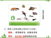 北师大版生物八年级下册 第23章 第3节  《生态系统的结构和功能》课件2 第1课时