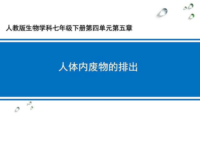 《人体内废物的排出》课件第1页