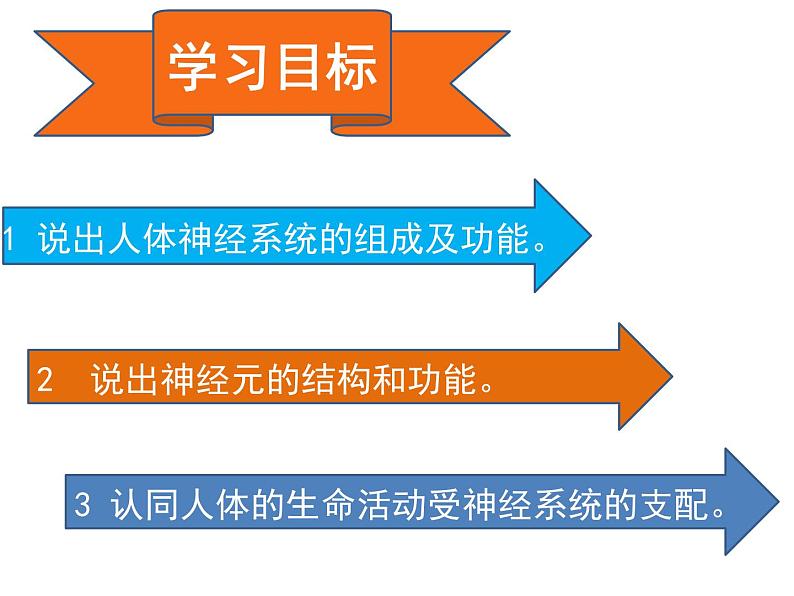 《神经系统的组成》课件第3页