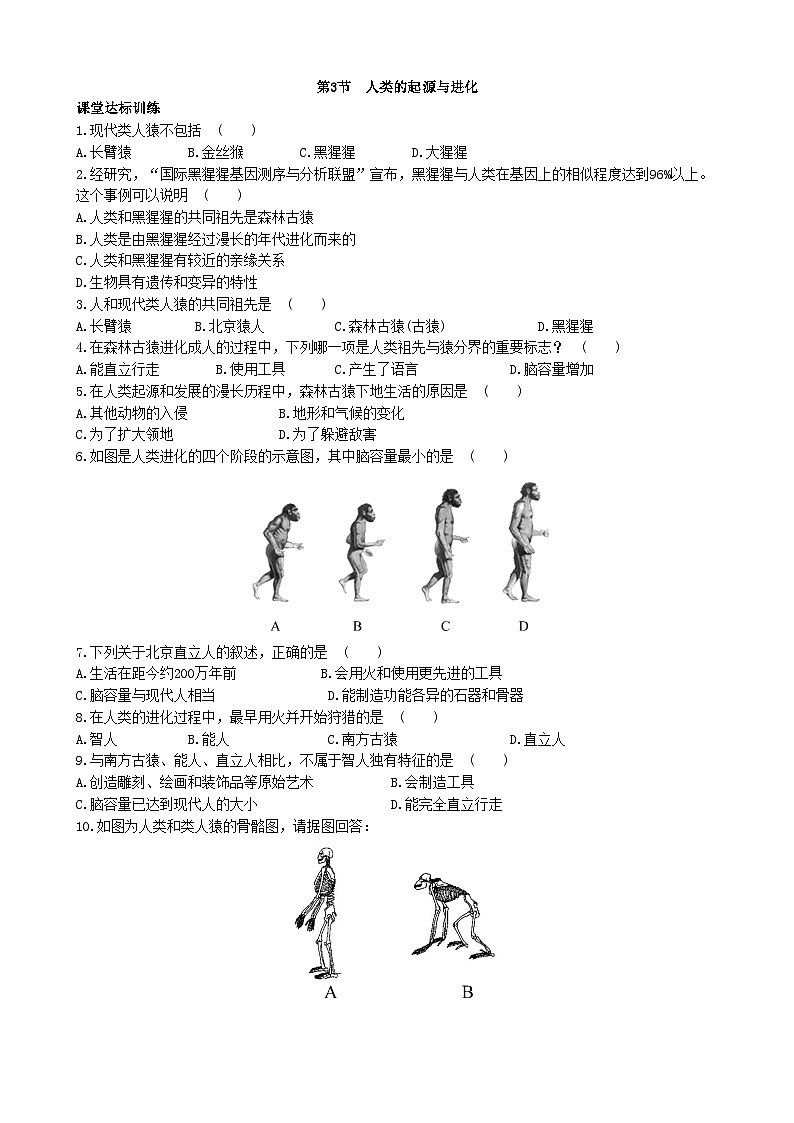 北师大版生物八年级下册 第21章 第3节  《人类的起源与进化》同步测试1（含答案）01