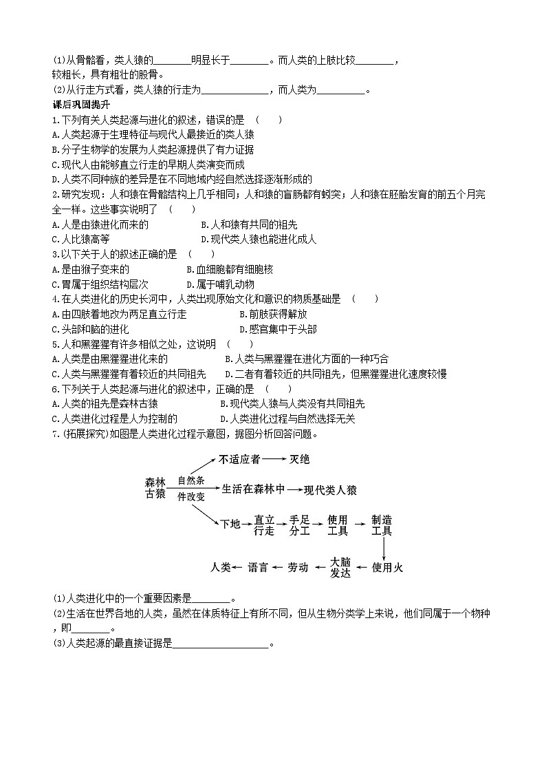 北师大版生物八年级下册 第21章 第3节  《人类的起源与进化》同步测试1（含答案）02