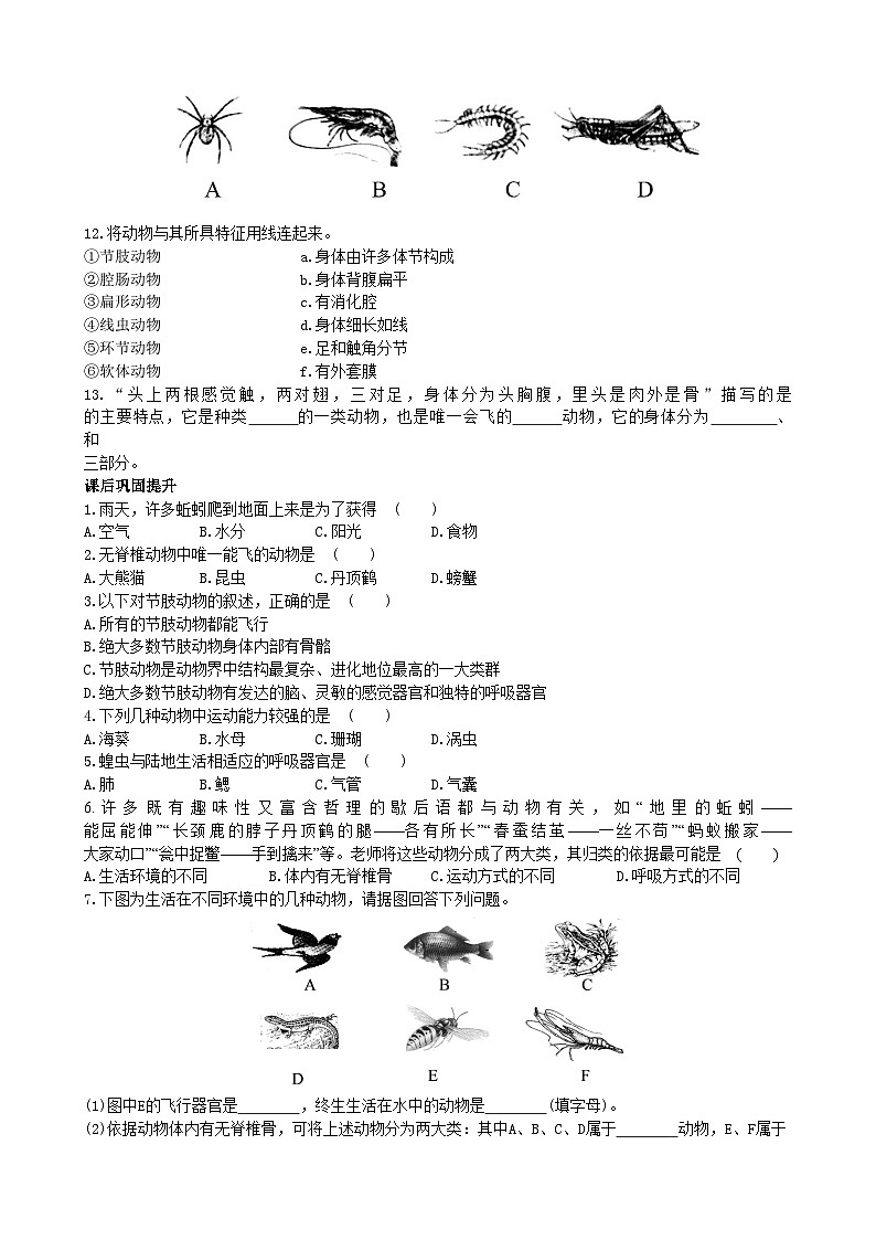 北师大版生物八年级下册 第22章 第4节  《动物的主要类群》同步测试3 第1课时（含答案）02
