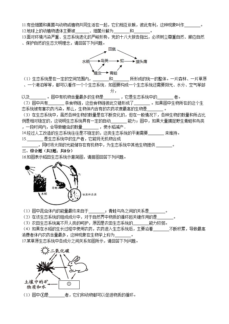 北师大版生物八年级下册 第23章 第2节  《生态系统概述》同步测试2（含答案）第2页