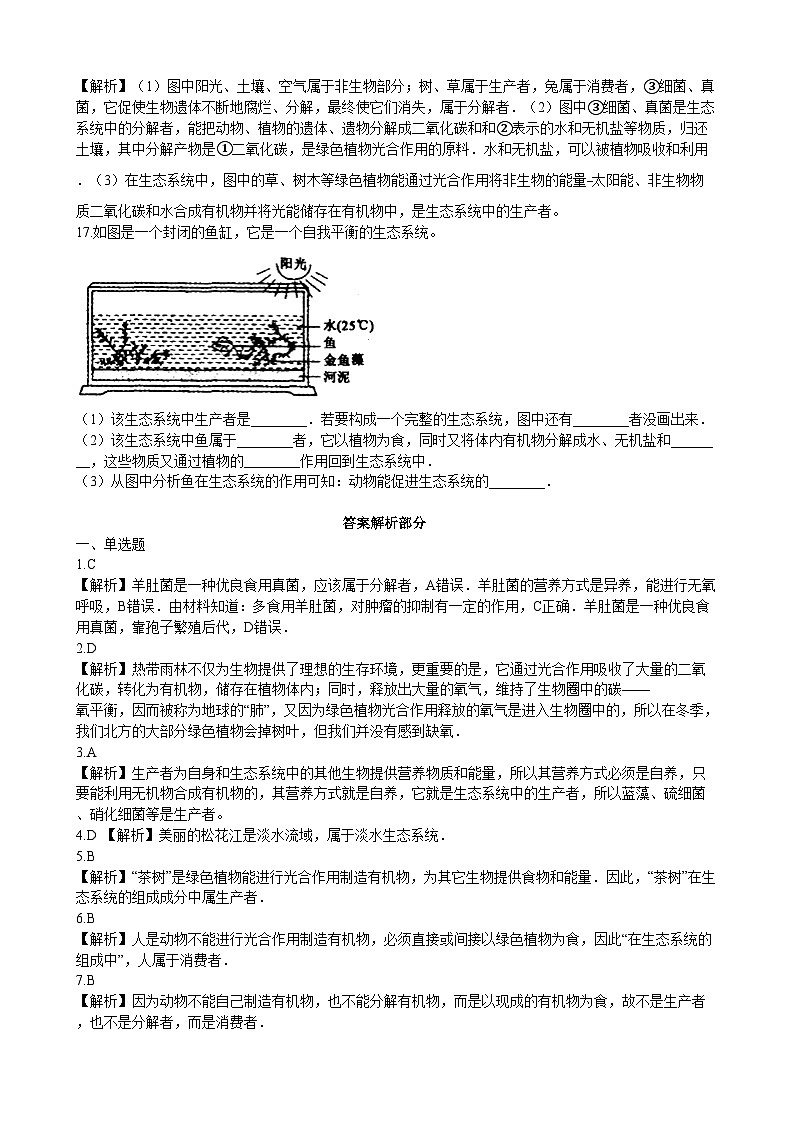 北师大版生物八年级下册 第23章 第3节  《生态系统的结构和功能》同步测试1（含答案）03