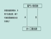 《绿色植物的三大生理过程》（复习课）课件