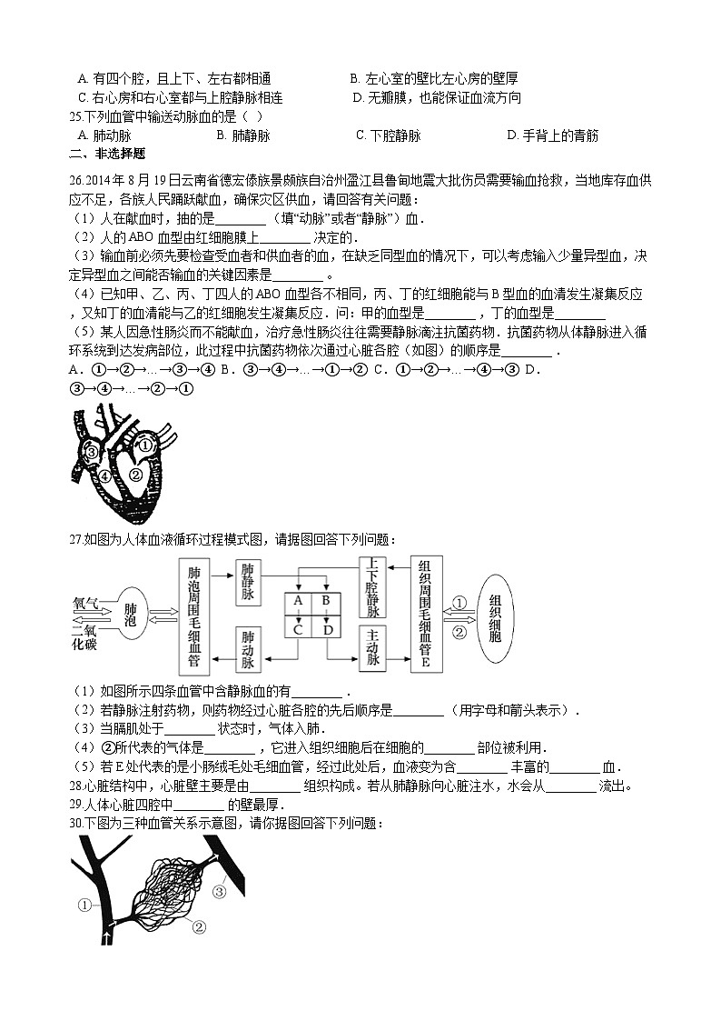 北师大版生物七年级下册 第9章 《人体内的物质运输》章末测试2第3页