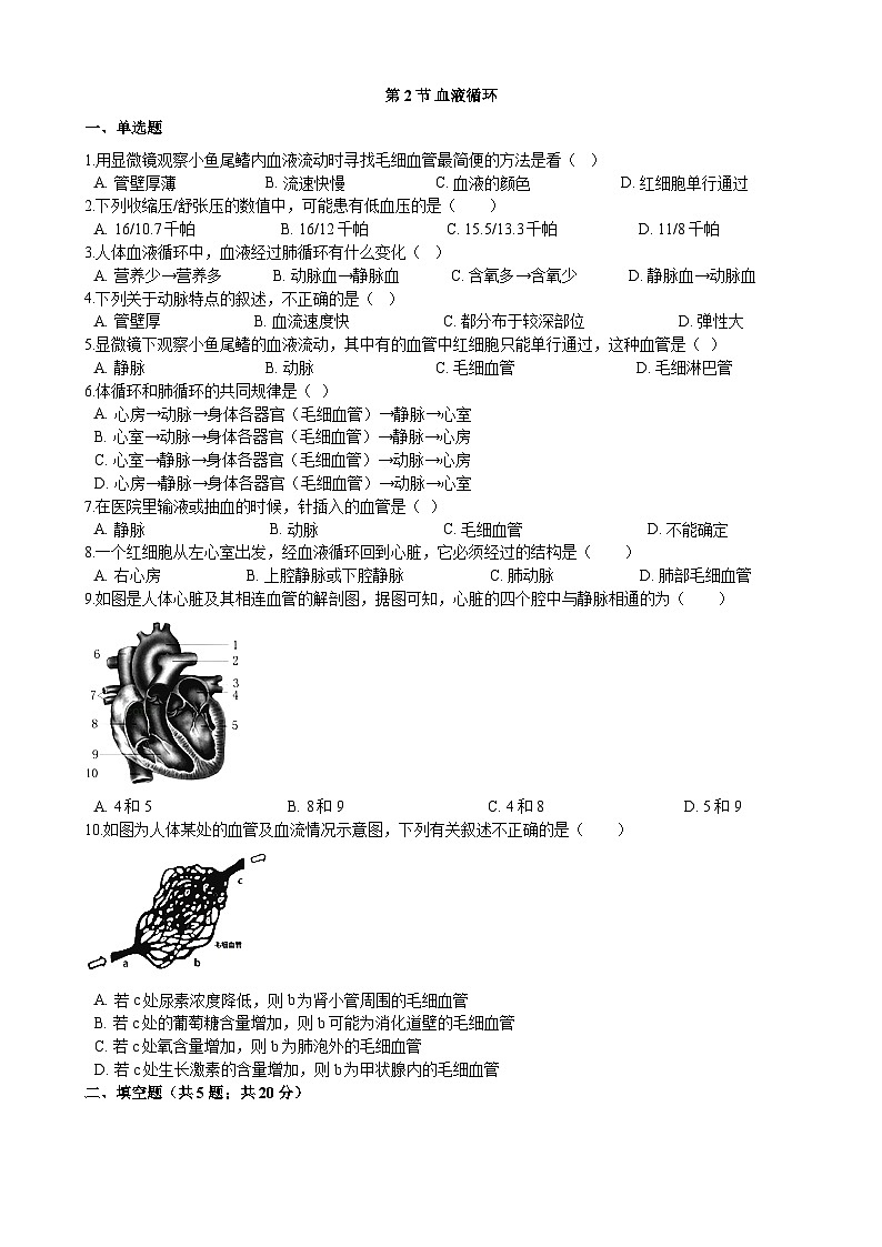 北师大版生物七年级下册 第9章 第2节   《血液循环》同步测试01