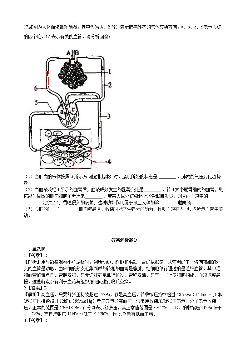 北师大版生物七年级下册 第9章 第2节   《血液循环》同步测试03
