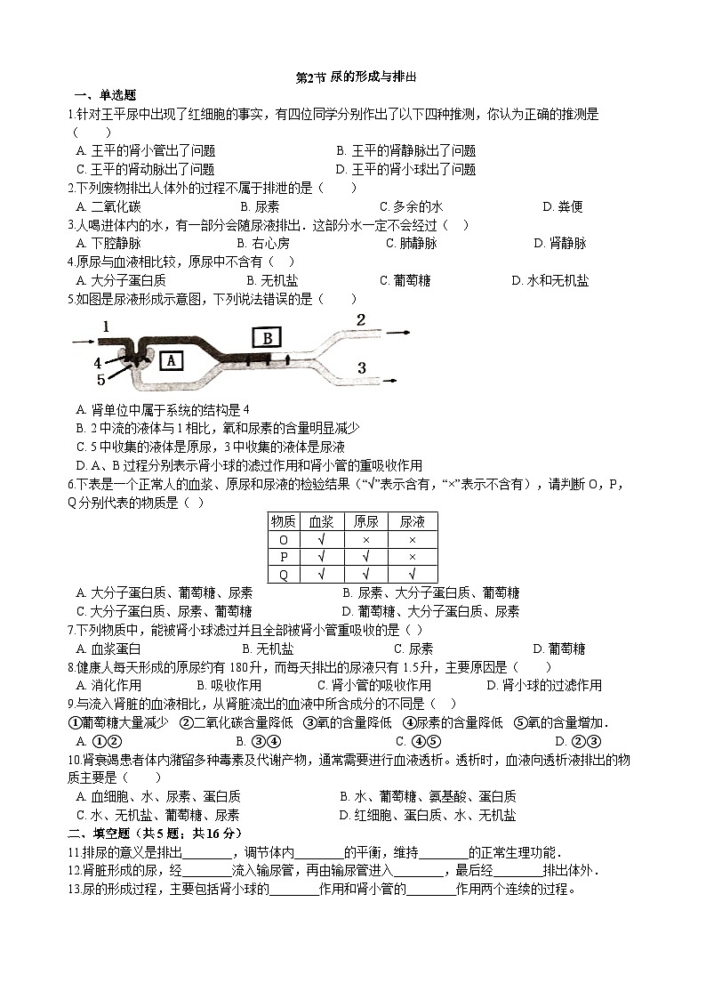 北师大版生物七年级下册 第11章 第2节 《尿的形成与排出 》同步测试01
