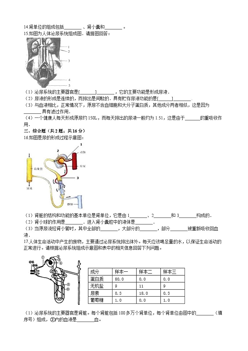 北师大版生物七年级下册 第11章 第2节 《尿的形成与排出 》同步测试02