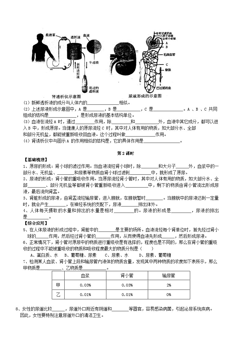 北师大版生物七年级下册 第11章 第2节 《尿的形成与排出》同步测试02